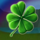 shamrock n roll clover symbol icon