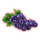 shining royal 100 grapes symbol icon