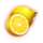 shining royal 100 lemon symbol icon