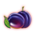 shining royal 100 plum symbol icon