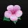 show me the honey pink flower symbol icon