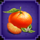 shuang long fu fruits symbol icon