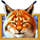 siberian lynx lynx symbol icon