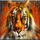 siberian storm tiger symbol icon