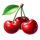 silver coins cherry symbol icon