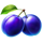 silver coins plum symbol icon