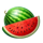 silver coins watermelon symbol icon