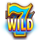 silver coins wild symbol icon
