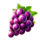 sizzling coins grapes symbol icon