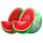 sizzling diamonds watermelons symbol icon