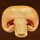 sizzling spins mushroom symbol icon