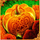 skullapalooza pumpkin symbol icon