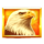 sky defender prizetower eagle symbol icon