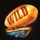 sky hunters wild symbol icon