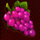 smoking hot grape symbol icon