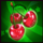 soju bomb cherry symbol icon