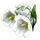 sophie flower white symbol icon