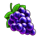 special fruits grapes symbol icon