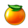 special fruits orange symbol icon