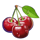 spicy fruits cherry symbol icon