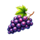 spin and squeeze grape symbol icon