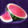 spin joker spin watermelon symbol icon