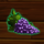spinmatic fruit farm grapes symbol icon