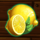 spinmatic fruit farm lemon symbol icon
