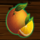 spinmatic fruit farm orange symbol icon