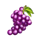 spinner thriller grapes symbol icon