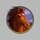 spirit of mustang brown horse symbol icon