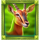spirit of savanna antelope symbol icon