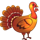 splashin pigs ultimate turkey symbol icon