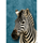 stampede spins zebra symbol icon