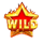 star hot reels wild symbol icon