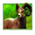 starlight jackpots bison rush bighorn symbol1 icon