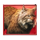 starlight jackpots bison rush lynx symbol icon