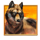 starlight jackpots bison rush wolf symbol icon