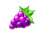 starlite fruits grapes symbol icon