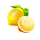 starlite fruits lemon symbol icon