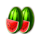 stars and coins respin clover chance watermelons symbol icon
