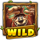 stompin gold wild symbol icon