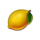 storm vs fire lemon symbol icon