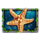 story of the little mermaid starfish symbol icon
