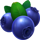 stunning crown extra blueberry symbol icon