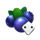 stunning crown extra dice blueberry symbol icon