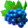 stunning crown extra grape symbol icon