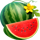 stunning crown extra watermelon symbol icon