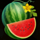 stunning crown watermelon symbol icon