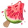 sugar land melon symbol icon